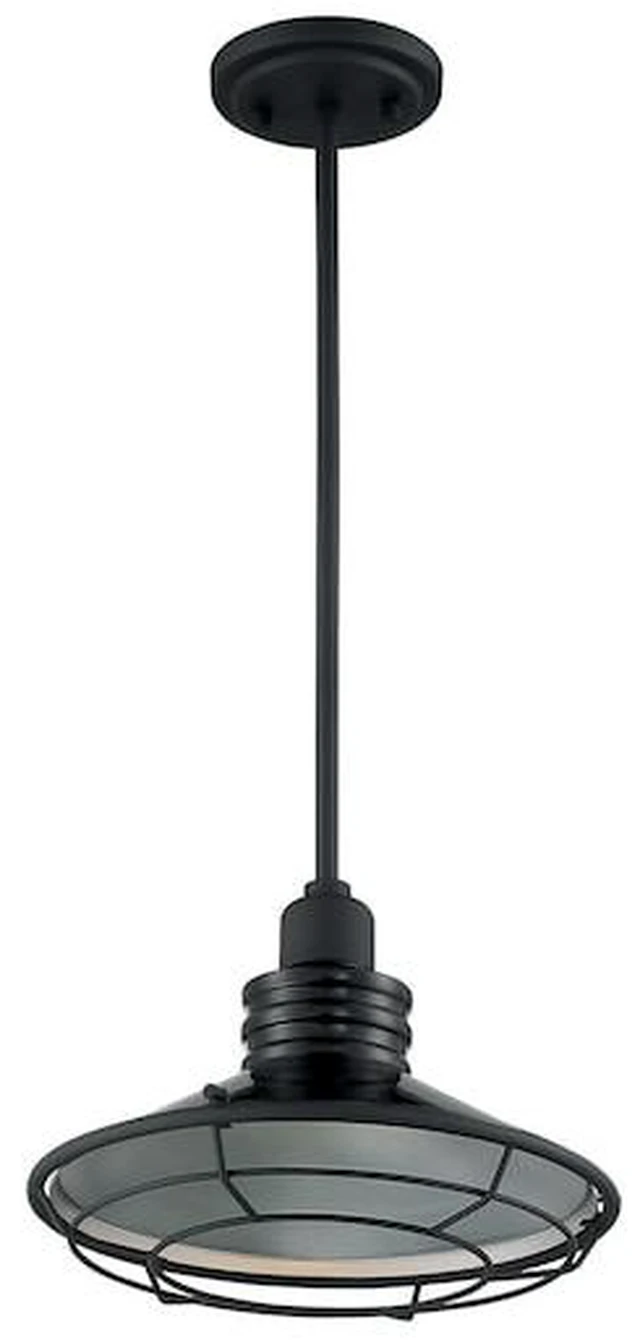 Main image of NUVO 60/7034 Fixture, Pendant, 1-Light, Incandescent, 60W, 120V, A19, Medium