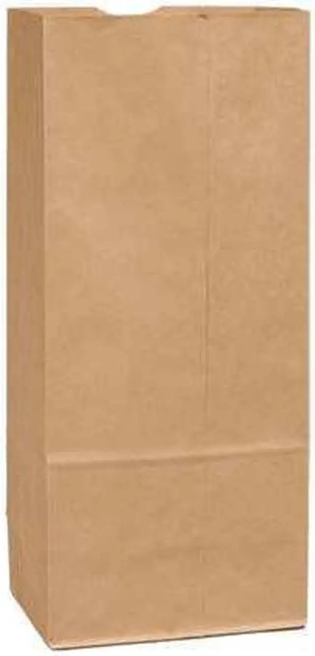 Main image of Grocery Bag Flat Bottom 20# Brown, Pk500 ZORO SELECT 12R055
