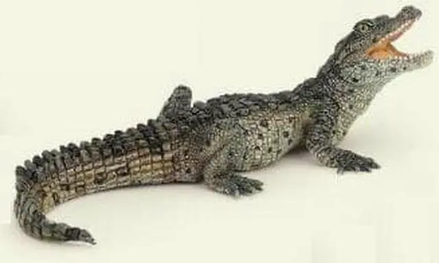 Main image of Baby Crocodile - Play Animal Figure by Papo Figures (50137)