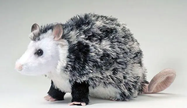 Alt view image 4 of 6 - Oliver Possum 9" Plush By Douglas Cuddle Toys