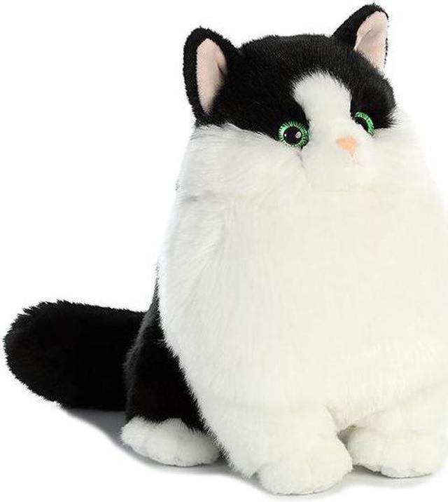 Fat white and black cat