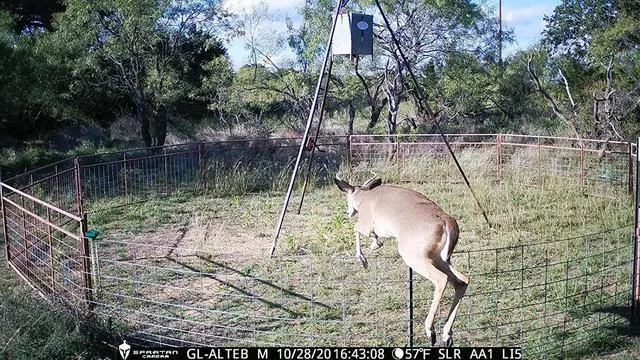 Alt view image 5 of 7 - Spartan GoLive Next Generation Cellular Scouting Camera with Steel Security Box (Verizon 4G/LTE)