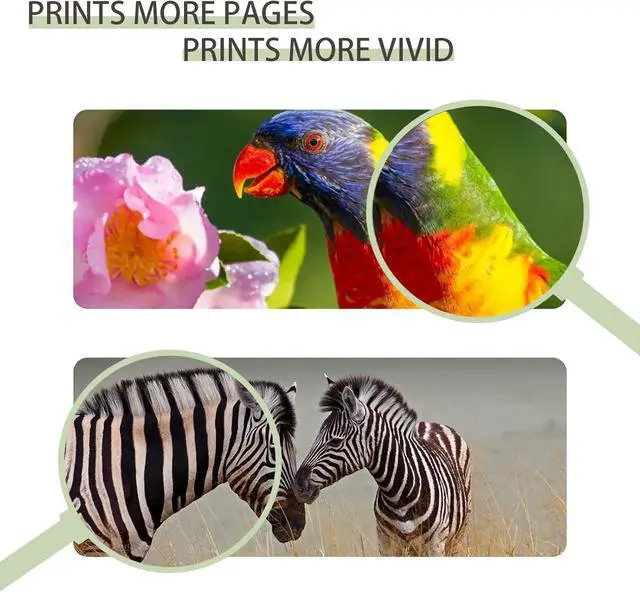 Alt view image 6 of 7 - Ennovor YOUEXPERT T694 Remanufactured T694500 Matte Black Ink Cartridge T6945 700ML Works for SureColor T3000 T3200 T3270 T3720 T5000 T5200 T5270 T5720 T7000 T7200 T7270 Printers (MBK, 1 Pack)