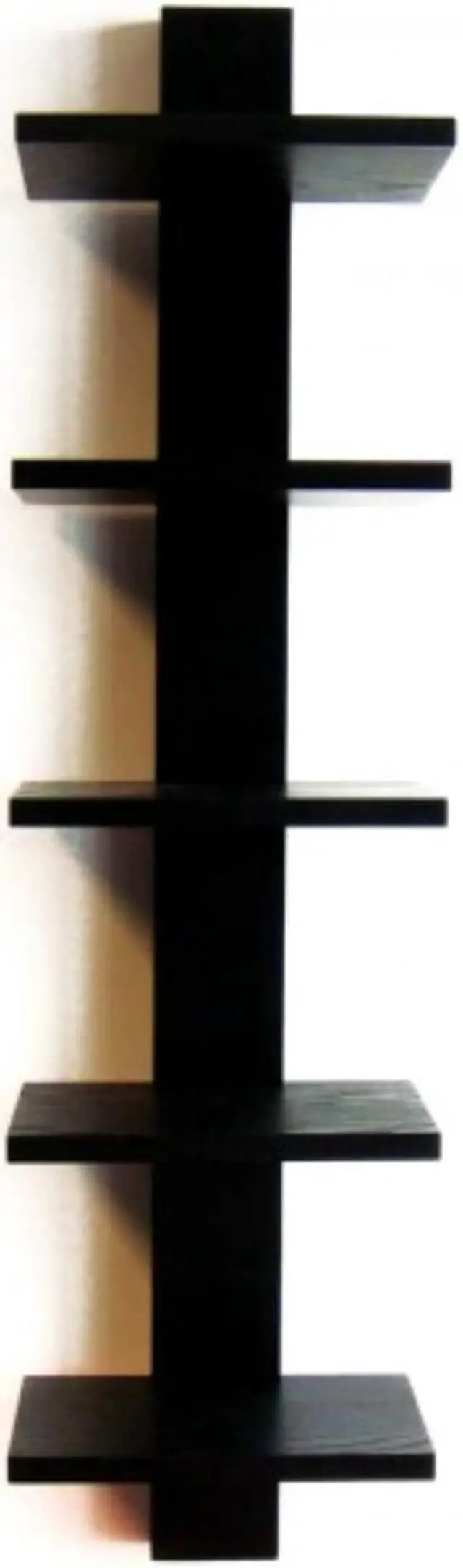 Main image of Spine Book Shelf