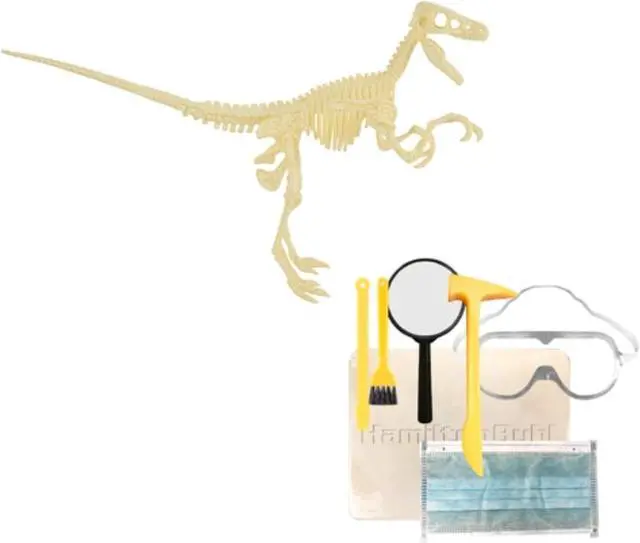 Main image of STEAM Education - HamiltonBuhl Paleo Hunter Dig Kit - Velociraptor Rex