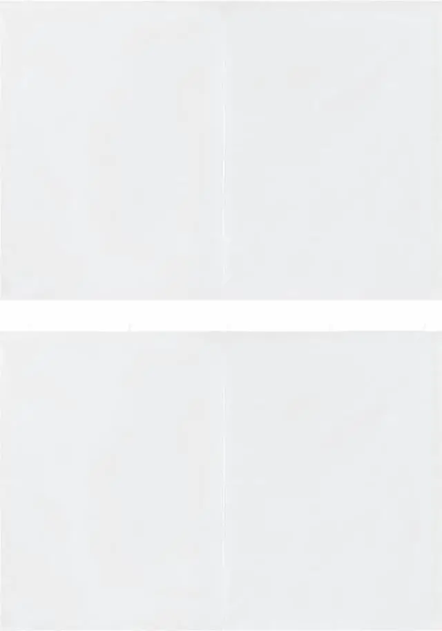 Alt view image 2 of 8 - vidaXL Party Tent Sidewall 2 Pcs Patio Canopy Sidewall with Zipper PE White