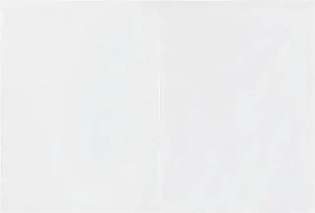 Alt view image 4 of 8 - vidaXL Party Tent Sidewall 2 Pcs Patio Canopy Sidewall with Zipper PE White