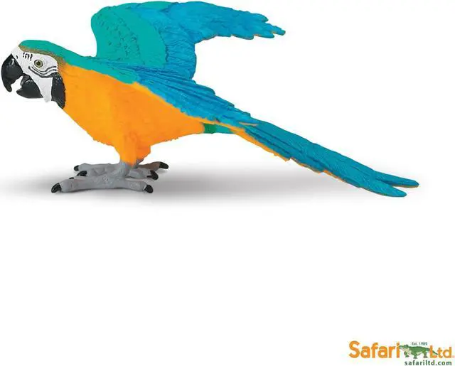 Alt view image 5 of 6 - Safari Blue & Gold Macaw