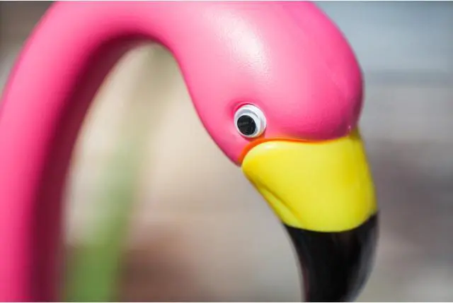 Alt view image 7 of 9 - Bloem Patio Lawn Pink Flamingo, 2 Per Pack