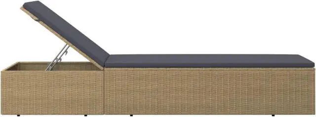 Alt view image 3 of 13 - vidaXL Sunlounger Poly Rattan Brown and Dark Gray