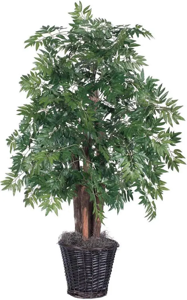 Main image of Vickerman 4' Ming Aralia Bush - TBU0640