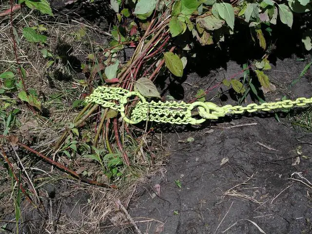 Alt view image 10 of 14 - BRUSH GRUBBER BG-16 Shrub/Clump Grubber