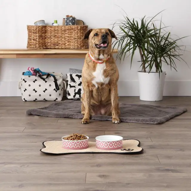 Alt view image 5 of 6 - DII Pet Bowl Lattice Rose Medium 6Dx2H (Set of 2)