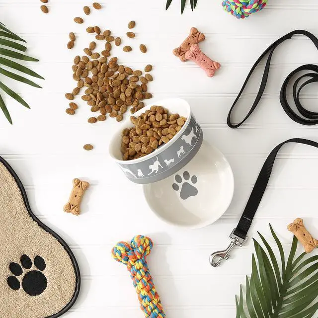 Alt view image 5 of 6 - DII Pet Bowl Dog Show Gray Medium 6Dx2H (Set of 2)