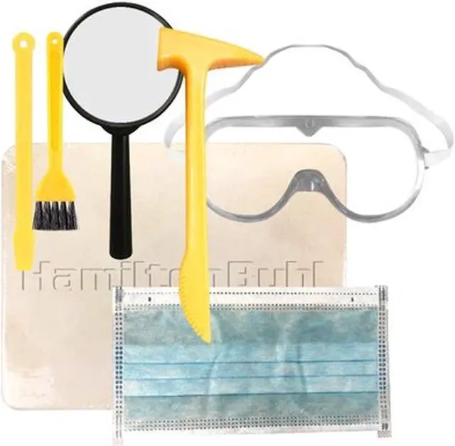 Alt view image 3 of 5 - STEAM Education - HamiltonBuhl Paleo Hunter Dig Kit - Velociraptor Rex