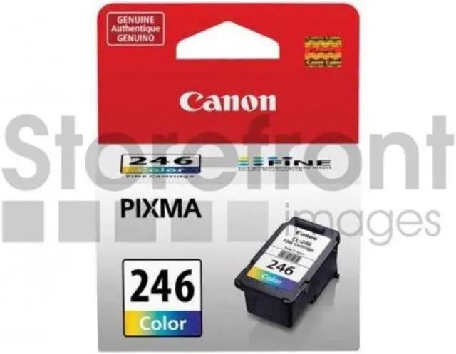 Main image of CANON BR MG2420 CL246 1-SD YLD COLOR INK
