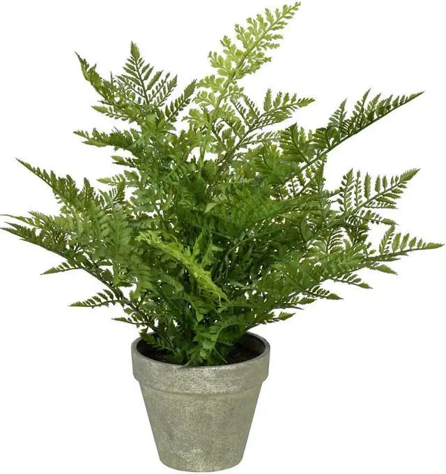 Main image of Vickerman 19" Green Fern In Pot - FJ190419
