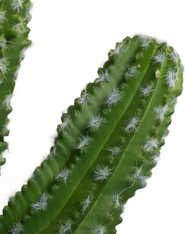 Alt view image 4 of 5 - Vickerman 31" Artificial Green Potted Cactus.