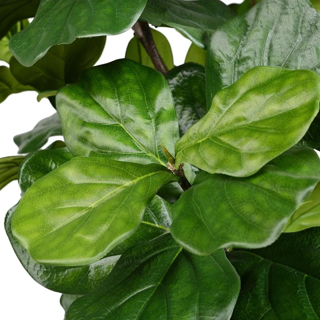 Alt view image 2 of 2 - Vickerman 6' Potted Fiddle Tree 65Lvs - TB180272