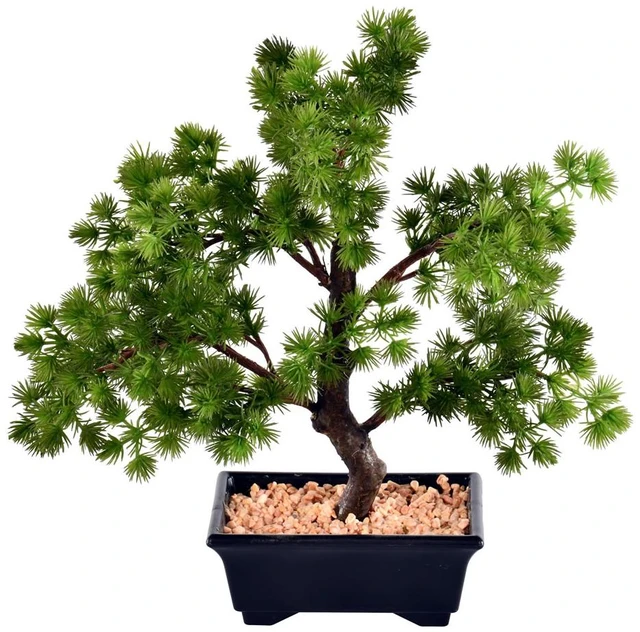 Main image of 12" Potted Pine Bonsai Tree