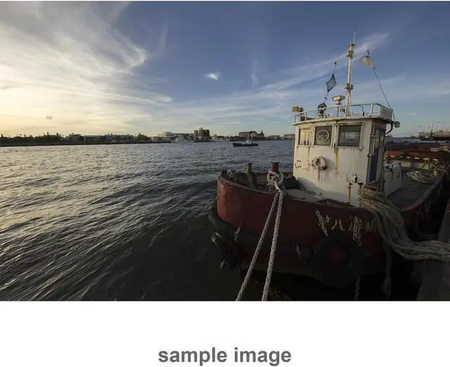 Alt view image 7 of 20 - Sigma 12-24mm f4 DG HSM Art Lens for Canon