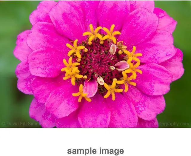 Alt view image 2 of 10 - Sigma 72mm Close Up Lens AML72-01
