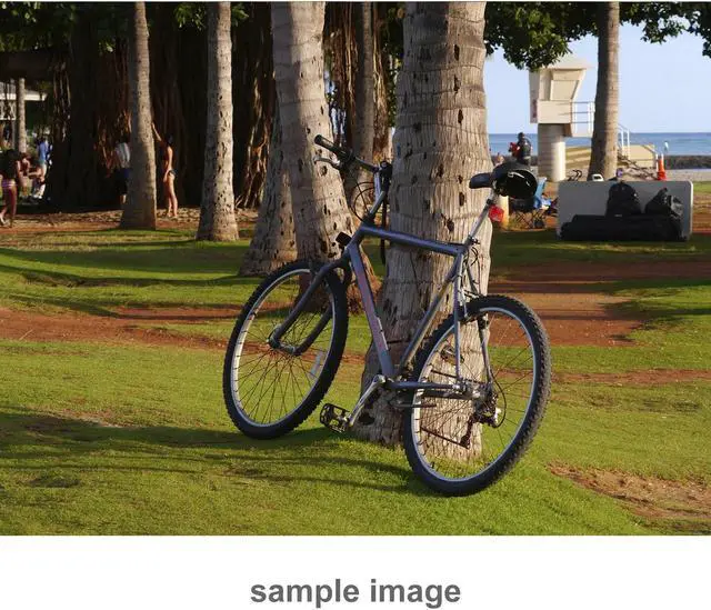 Alt view image 18 of 20 - LUMIX G X VARIO PZ 45-175mm / F4.0-5.6 ASPH. Lens