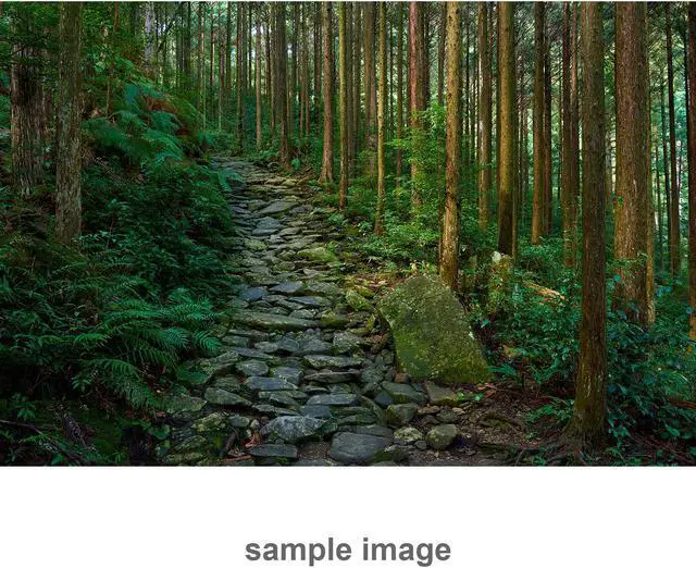 Alt view image 6 of 20 - Sony 24-105mm F4 G OSS FE Lens SEL24105G