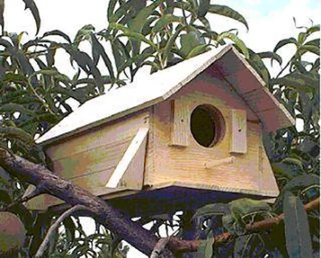 Alt view image 2 of 5 - Hammond Toys Wood Bird House Kit Complete With Nails Wooden DIY Project