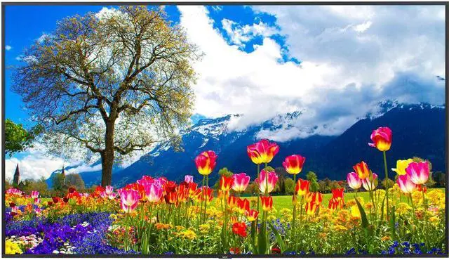 Main image of Sharp NEC M981 Display 98" Ultra High Definition Professional Display