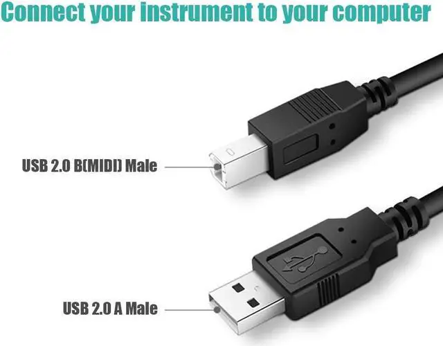 Alt view image 4 of 7 - Ancable 6-Feet USB B MIDI Cable for Instruments, USB 2.0 Type A to Type B Printer Cable Cord Compatible with Piano, Midi Controller, Midi Keyboard, Audio Interface Recording, USB Microphone and More