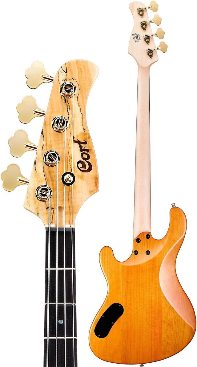Alt view image 5 of 7 - Cort Jeff Berlin Rithimic Bass Guitar – Natural Spalted Maple, Donner 30W Bass AMP, ErnieBall Cable Bundle