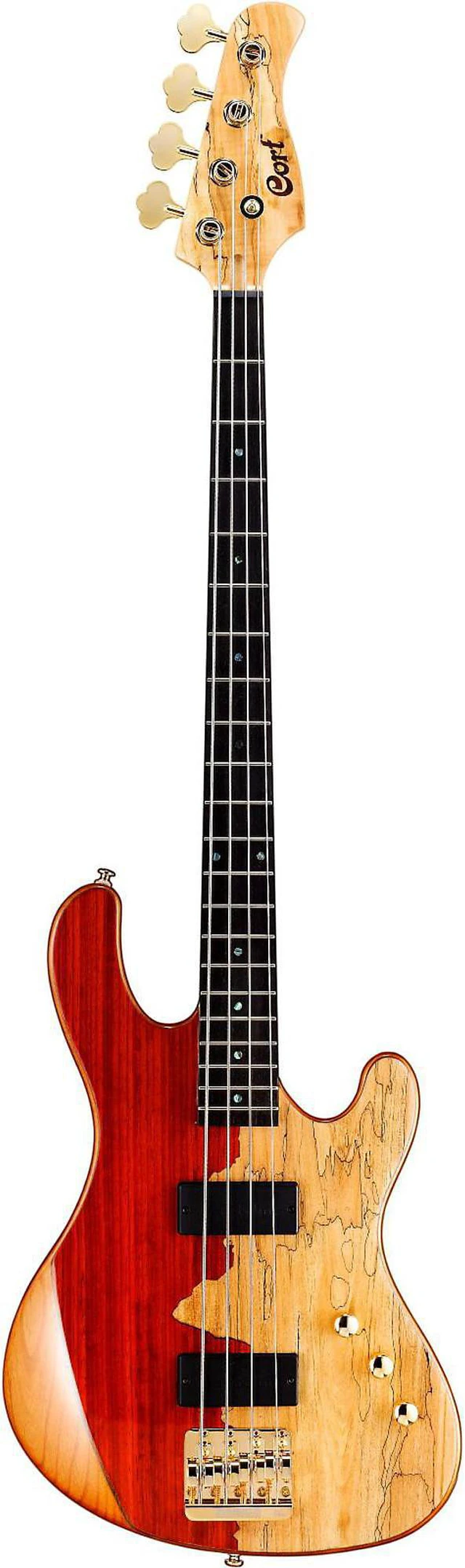 Main image of Cort Jeff Berlin Rithimic Bass Guitar - Natural Spalted Maple