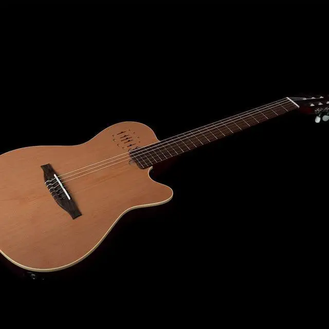 Alt view image 6 of 7 - Godin MultiAc Nylon Encore  Natural Semi-gloss (035045), Godin V1095 MultiAc Case Bundle