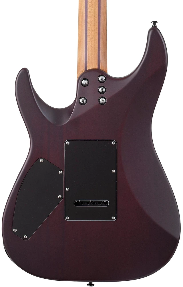 Alt view image 5 of 7 - Schecter C-1 Exotic Ebony Electric Guitar (Natural Satin)