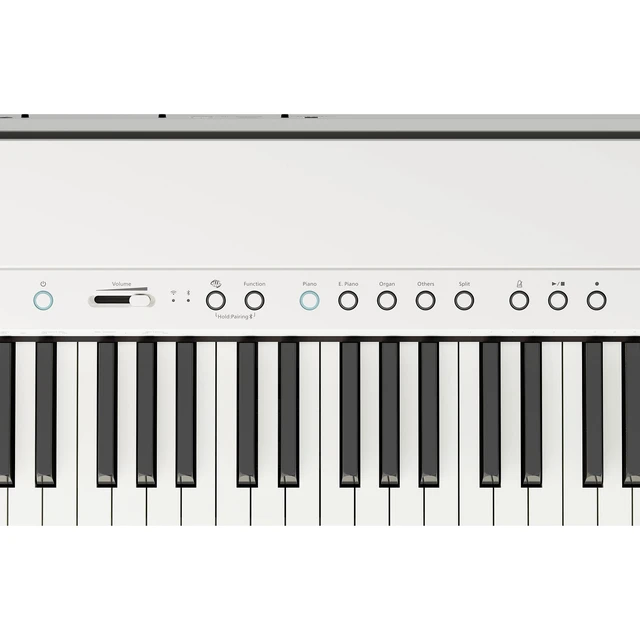 Alt view image 7 of 7 - Roland FP-40 Digital Piano (White)