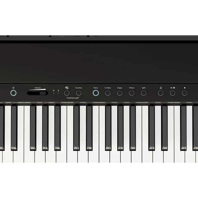 Alt view image 7 of 7 - Roland FP-40 Digital Piano (Black)