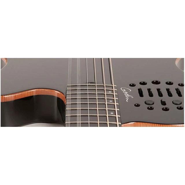 Alt view image 2 of 3 - Godin 38220 10 String Acoustic-Electric Guitar, Right Handed