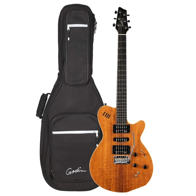 Alt view image 2 of 7 - Godin (041497) xtSA Koa Electric Guitar, Natural, (2) Ernie Ball 2221 Cable, Hercules GS415B, D'Addario Humidikit Bundle