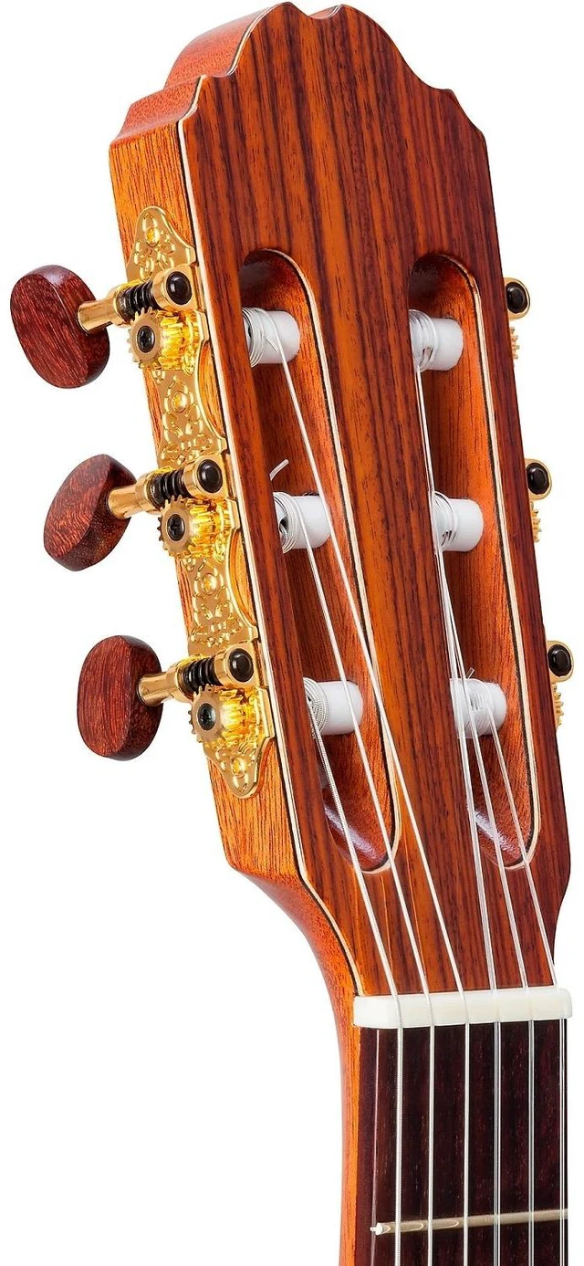 Alt view image 7 of 7 - Kremona Verea Cutaway AC Nylon w/ Gig Bag, Fender Frontman 10G Amp, ErnieBall Cable Bundle