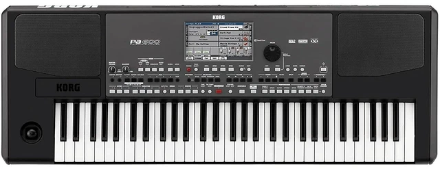 Main image of Korg Pa600 Professional 61-Key Arranger Keyboard with Built-In Speakers