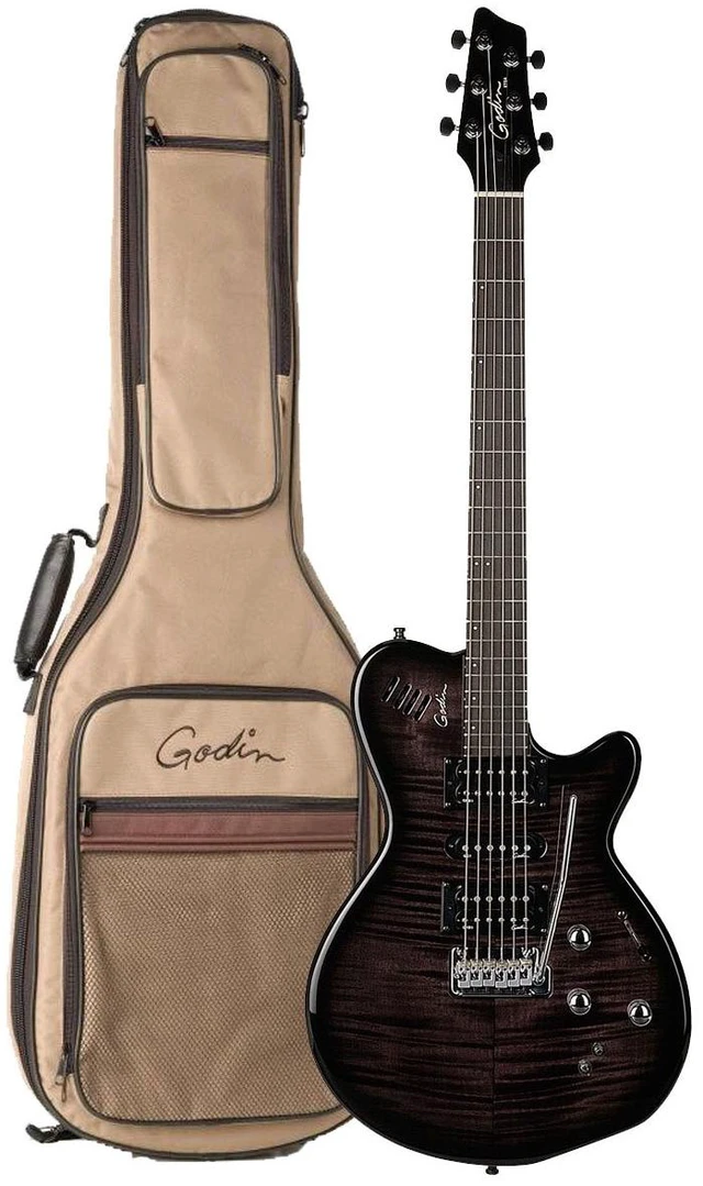 Main image of Godin 025503 xtSA Trans Black Flame 6 string Electric Guitar with Case