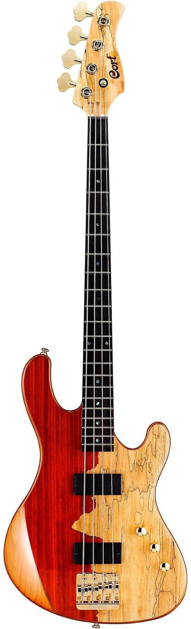Main image of Cort Jeff Berlin Rithimic Bass Guitar - Natural Spalted Maple