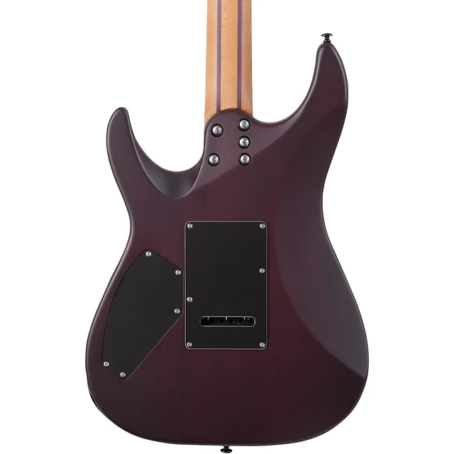 Alt view image 5 of 7 - Schecter C-1 Exotic Ebony Electric Guitar (Natural Satin)
