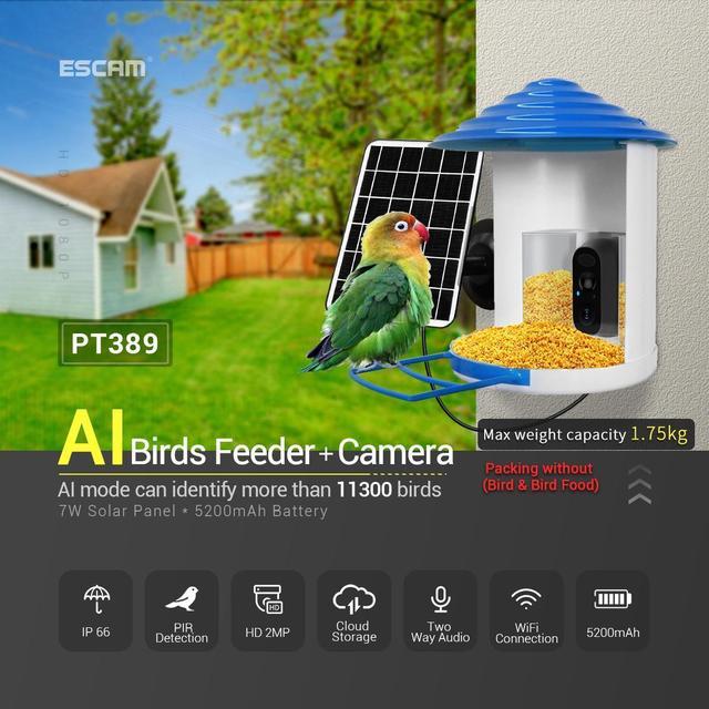 1080P Ai Smart Watch Bird Feeder Low Power Solar Battery 2MP Icam365 APP Bird  Feeding Wireless WiFi Solar IP Camera for Outdoor - China Smart Watch Bird  Feeder, WiFi Solar IP Camera