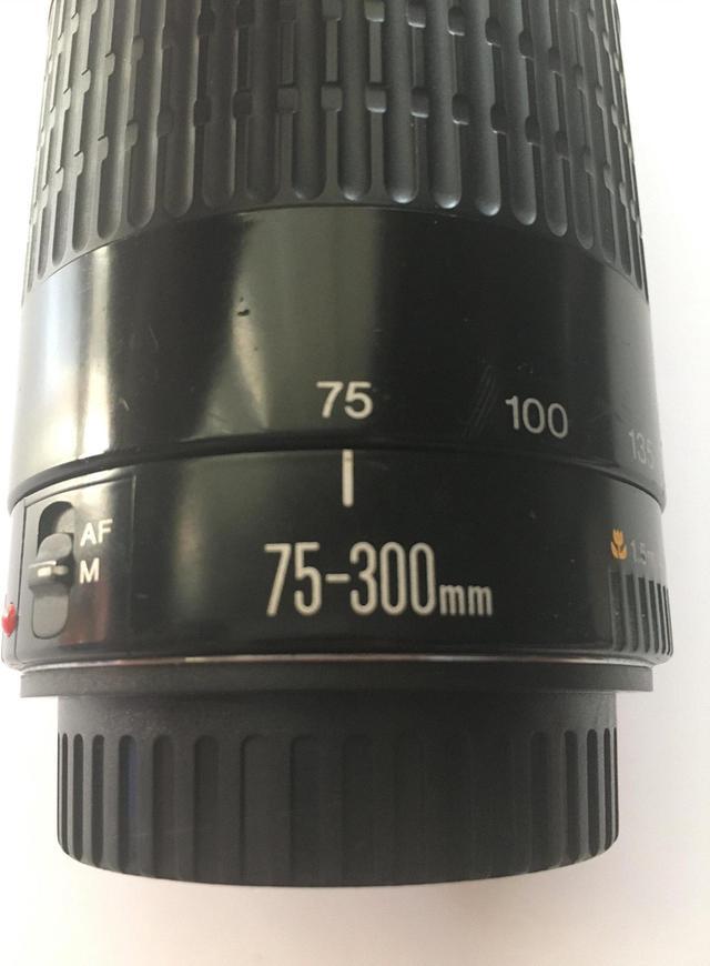 Canon EF 75-300mm f/4-5.6 III Telephoto Zoom Lens for Canon SLR Cameras  (Renewed)