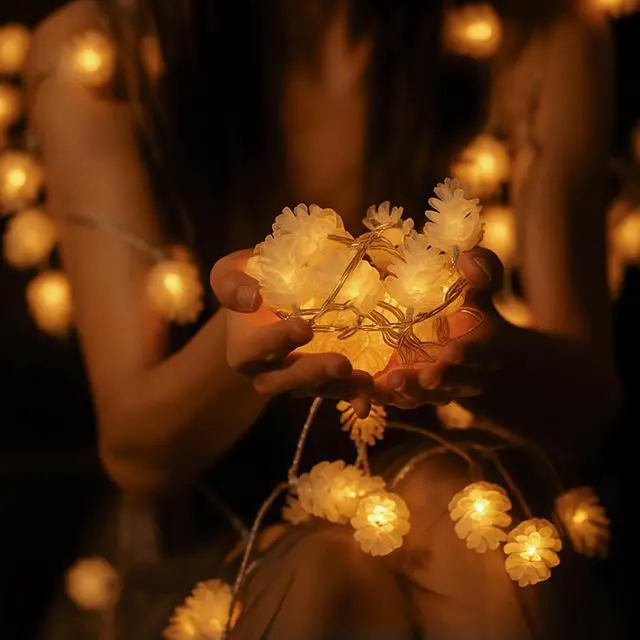 Alt view image 5 of 7 - Elegani 10 LED Pine Cone String Lights  Warm White, Soft Plastic, Indoor Outdoor Decorative Lighting