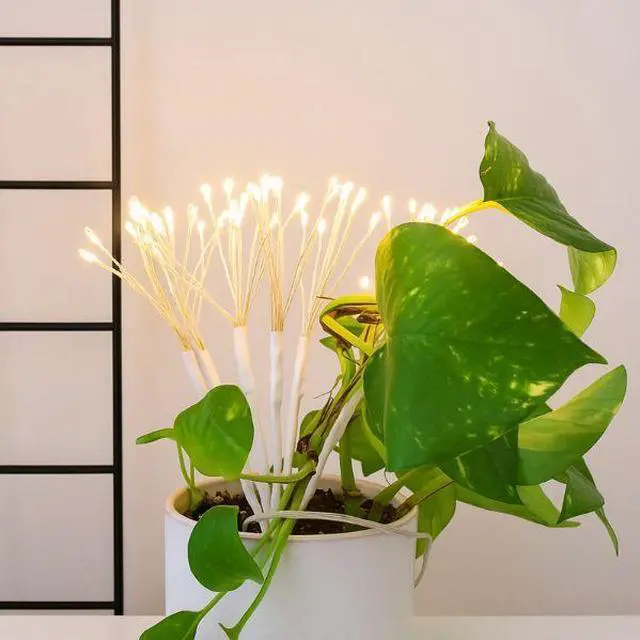 Alt view image 5 of 5 - Elegani 80 LED Dandelion String Light  Bendable Silver Copper Flower Fairy Light for Vase, Decor & Events  Warm White