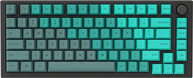 Alt view image 3 of 6 - Glorious GPBT Dye Sublimated Keycaps (Rain Forest) -Thick PBT Plastic 114 Keycap Set for 100% Full Size, 85% 80% TKL, 60% Compact, 75% Mechanical Keyboards