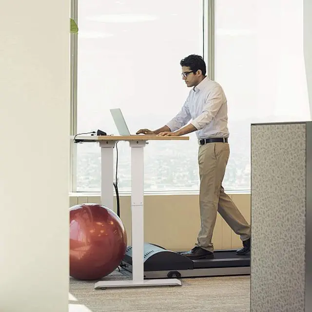 Alt view image 6 of 7 - Standing Desk for Home Office, Adjustable Height Desk, 48 x 24 inch Capon Sitting and Standing Dual Motorized Gaming Desk, One Piece Top Electric Stand Up Desk, Natural